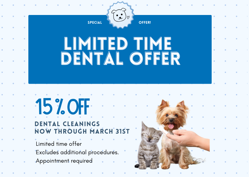 Carousel Slide 1: Click here to book with us!